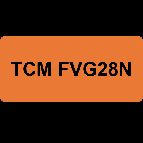 TCM FVG28N